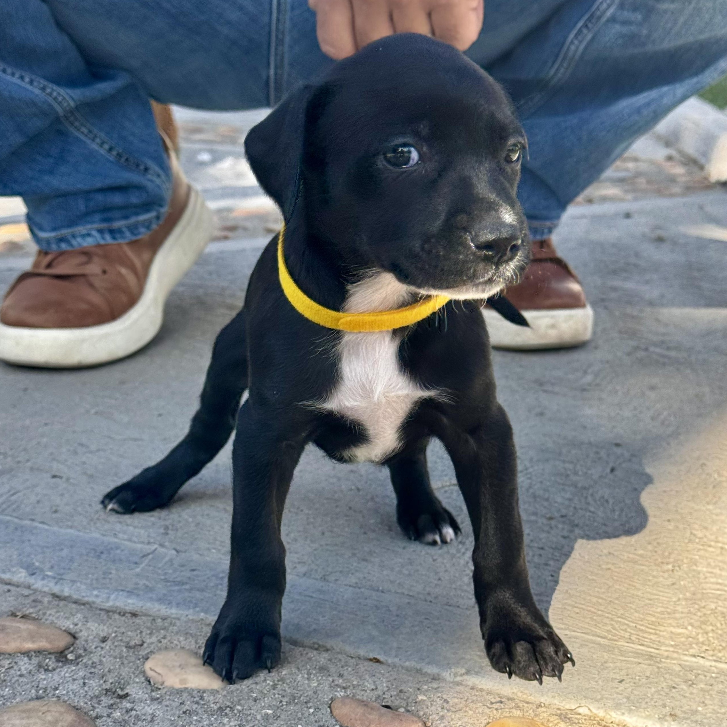 Janice — thumbnail 4