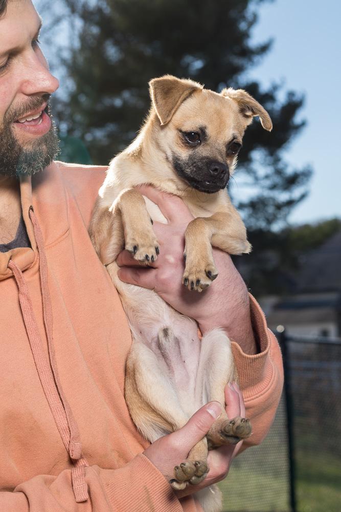 Puggle