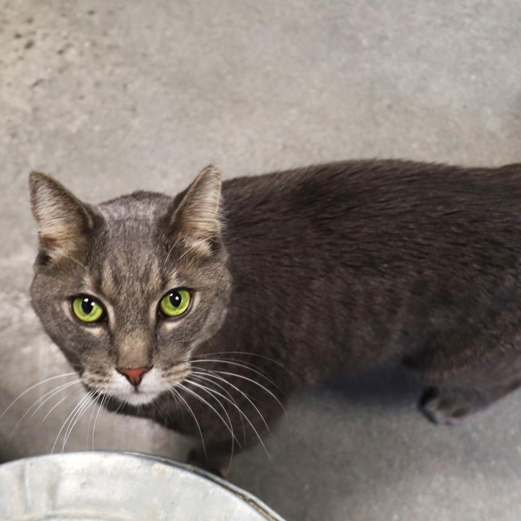 Clark — thumbnail 2