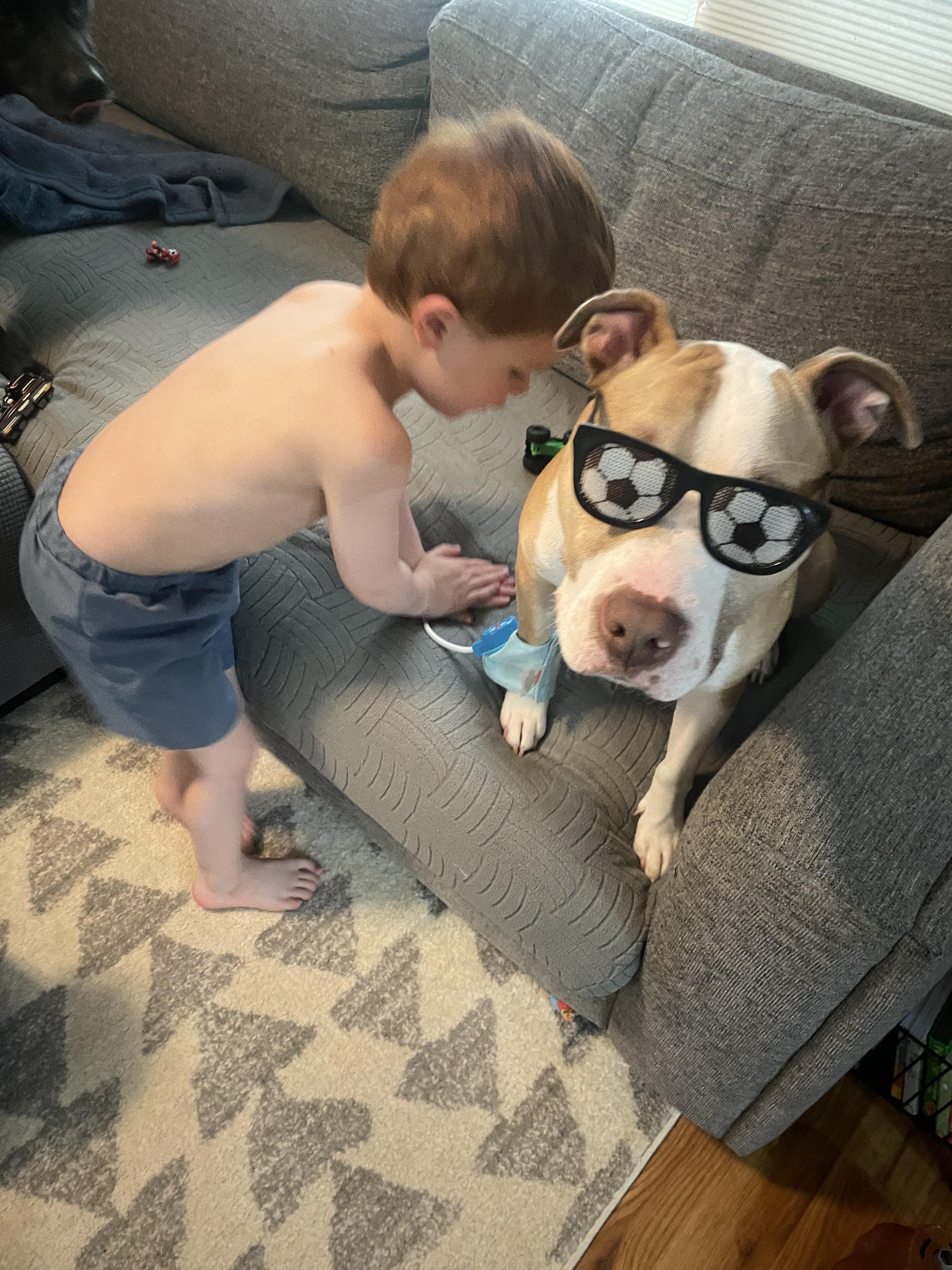 Zander-perfect gentleman, great with kids