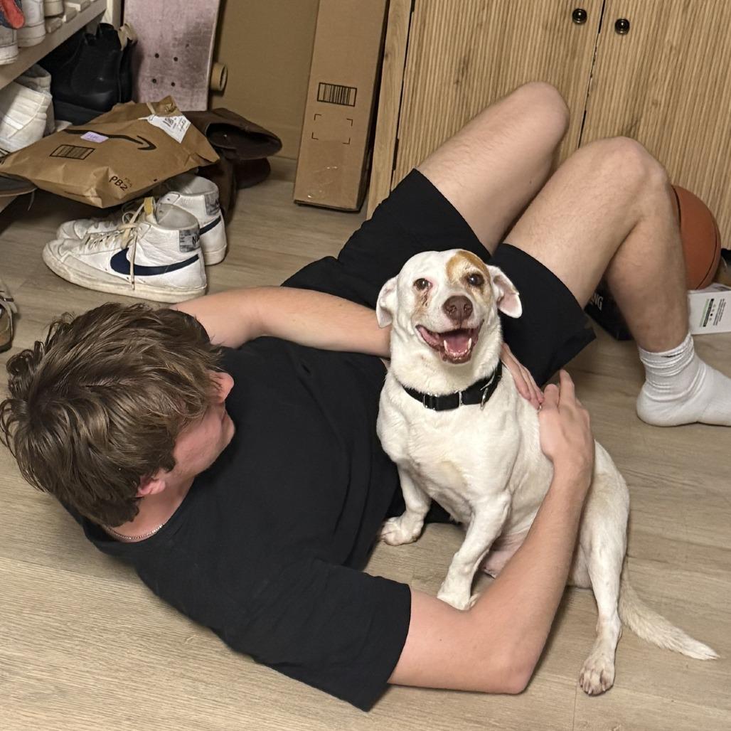 Pirata — thumbnail 6