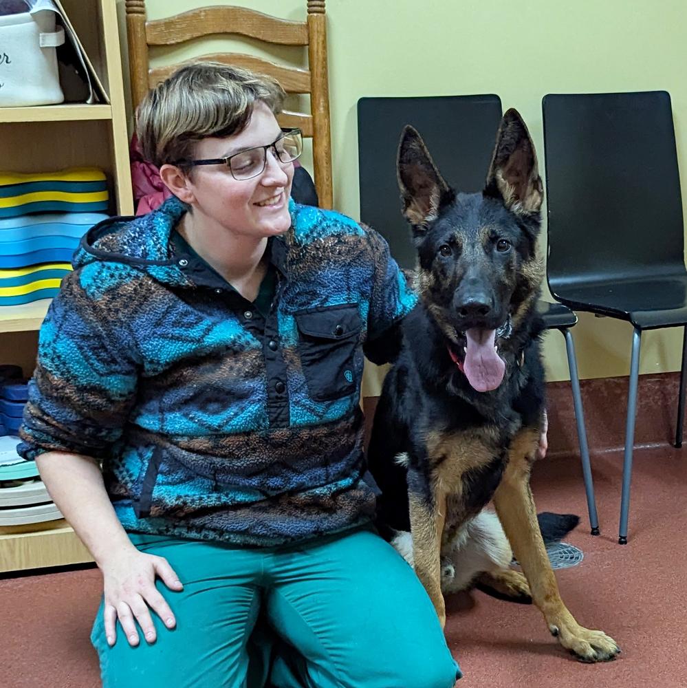 Filo, a Adoptable German Shepherd Dog in Accident, MD image 5/6