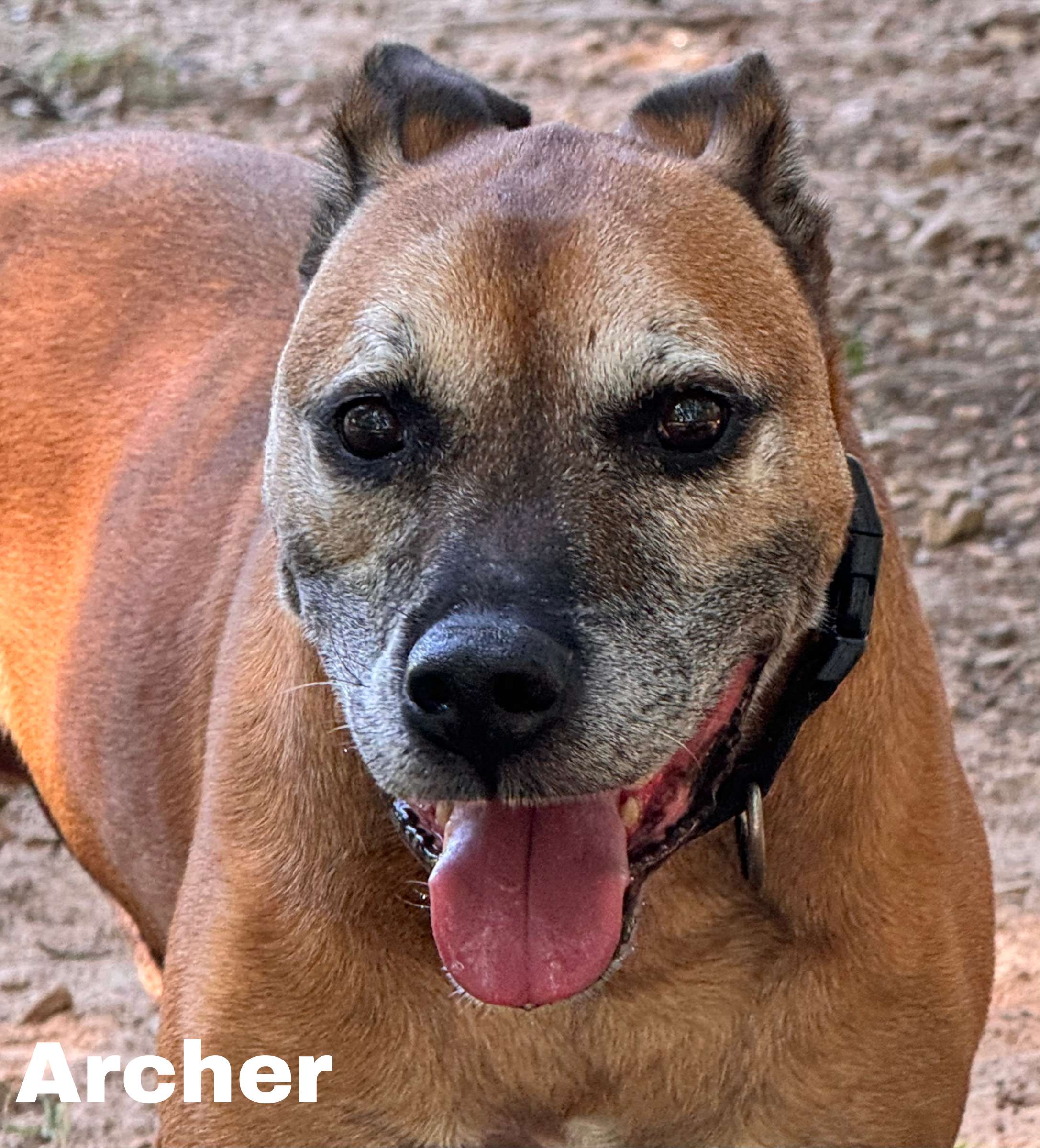 Archer