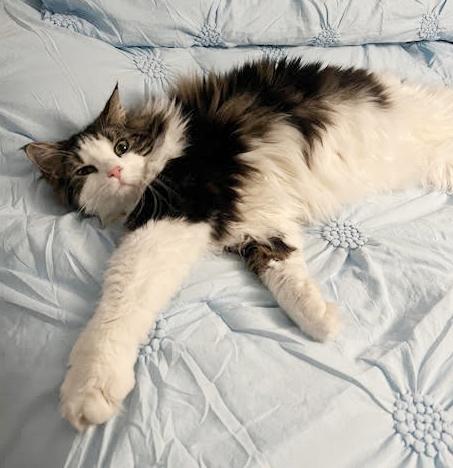 Moose our mushball!  LOVER ALERT - VIDEO!!