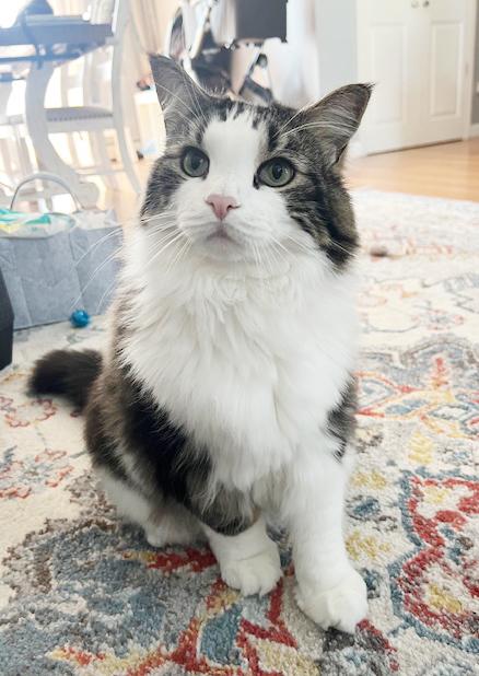 Moose our mushball!  LOVER ALERT - VIDEO!!