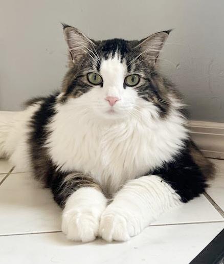 Moose our mushball!  LOVER ALERT - VIDEO!!