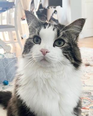 Moose our mushball!  LOVER ALERT - VIDEO!!