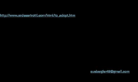 Paris, a ADOPTABLE mixed breed in Tucson, AZ image 2/2