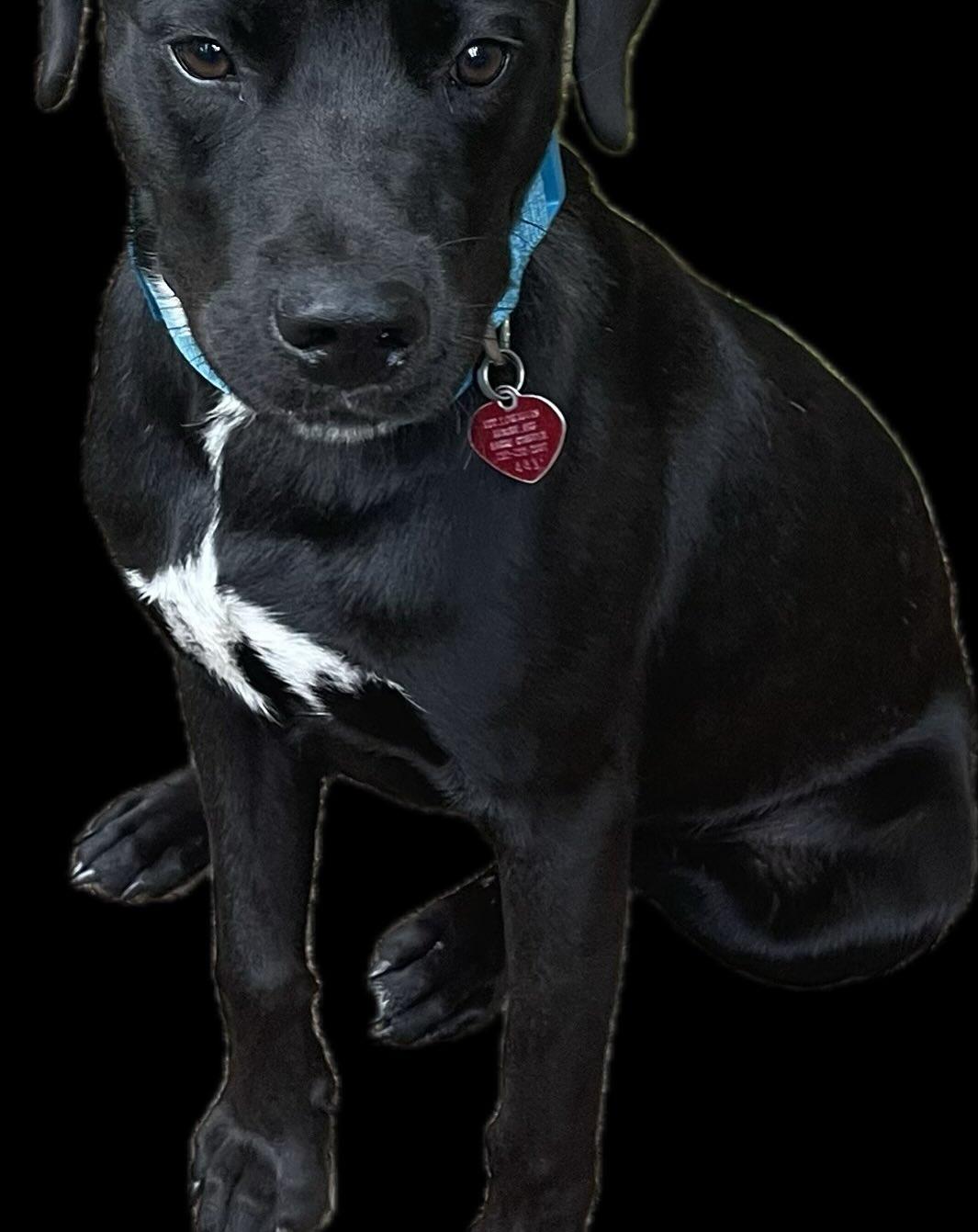 Onyx