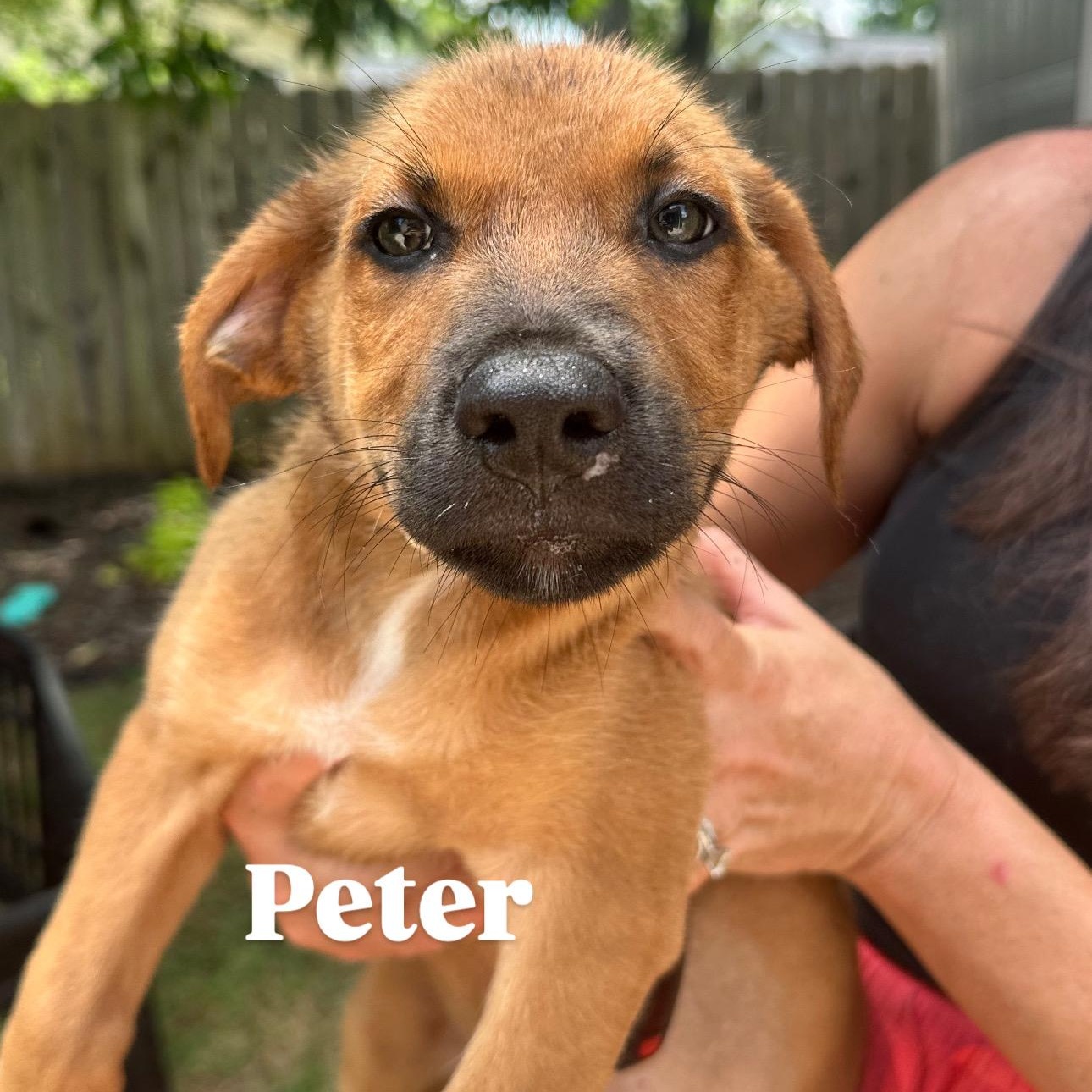 Peter, Baby Male unknown