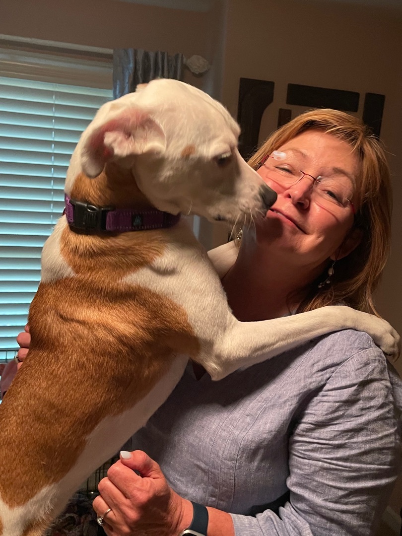 Enlarge Mary Jane, a Adoptable mixed breed in Cumming, GA image 2/6