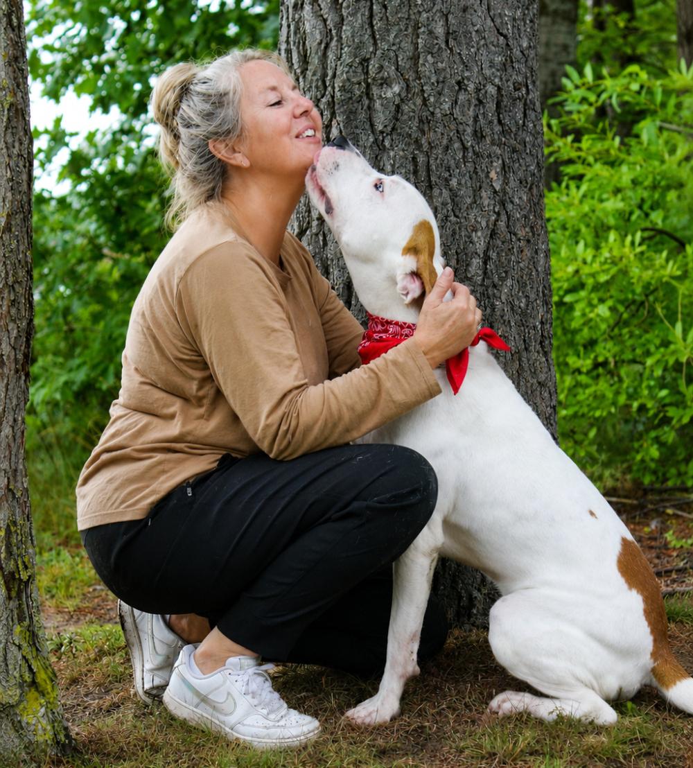 Enlarge Memphis, a ADOPTABLE Mixed Breed in Cheboygan, MI image 5/6