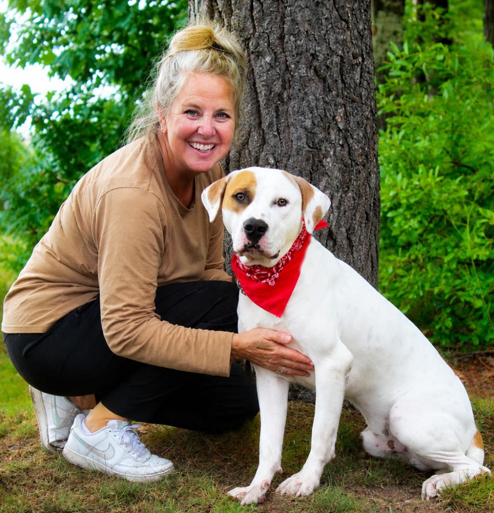 Enlarge Memphis, a ADOPTABLE Mixed Breed in Cheboygan, MI image 4/6
