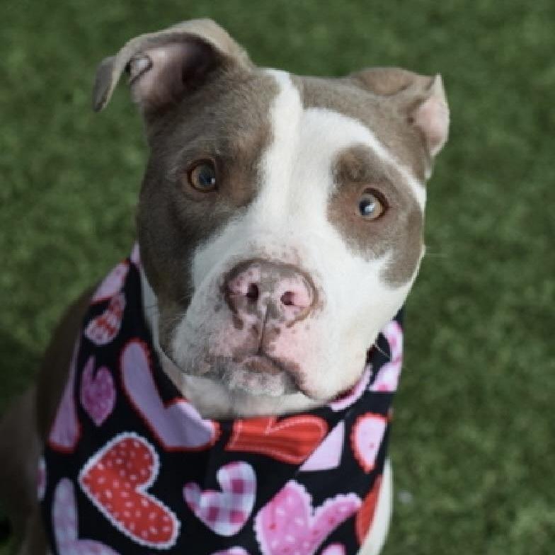 Solstice thumbnail 2