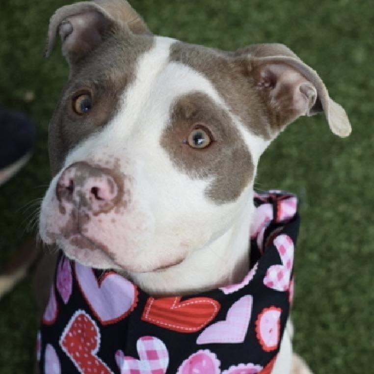 Solstice thumbnail 5