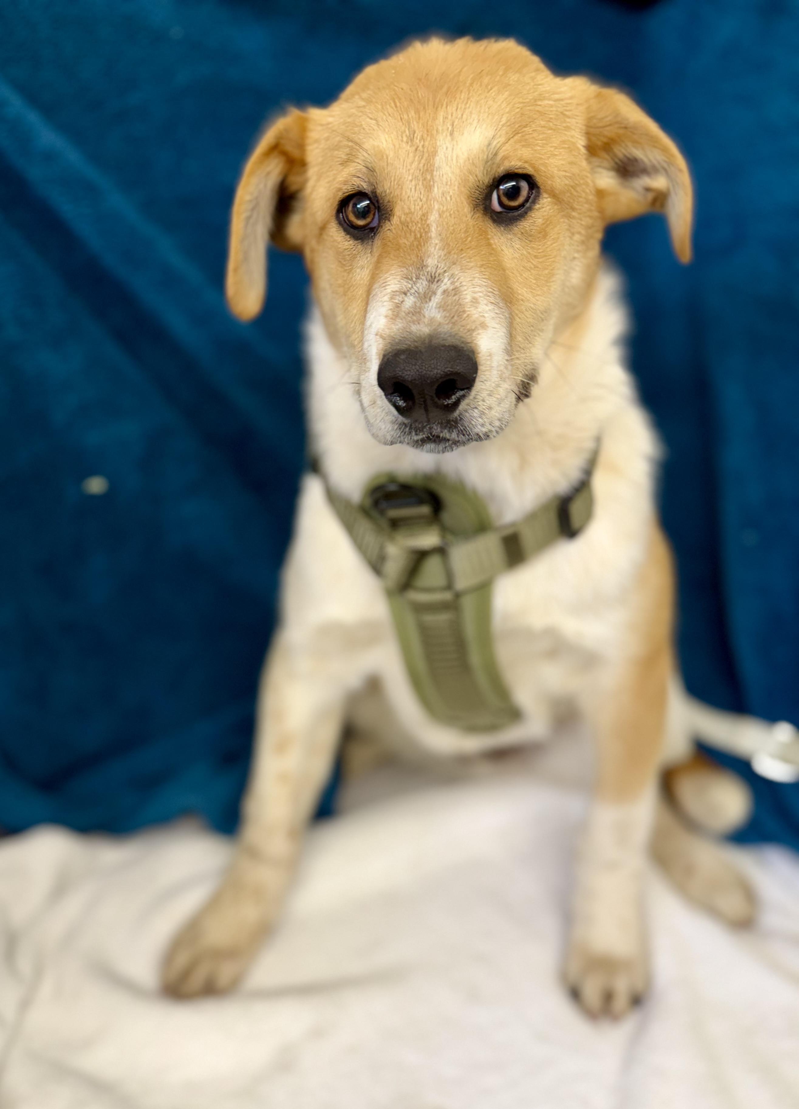 General — thumbnail 2