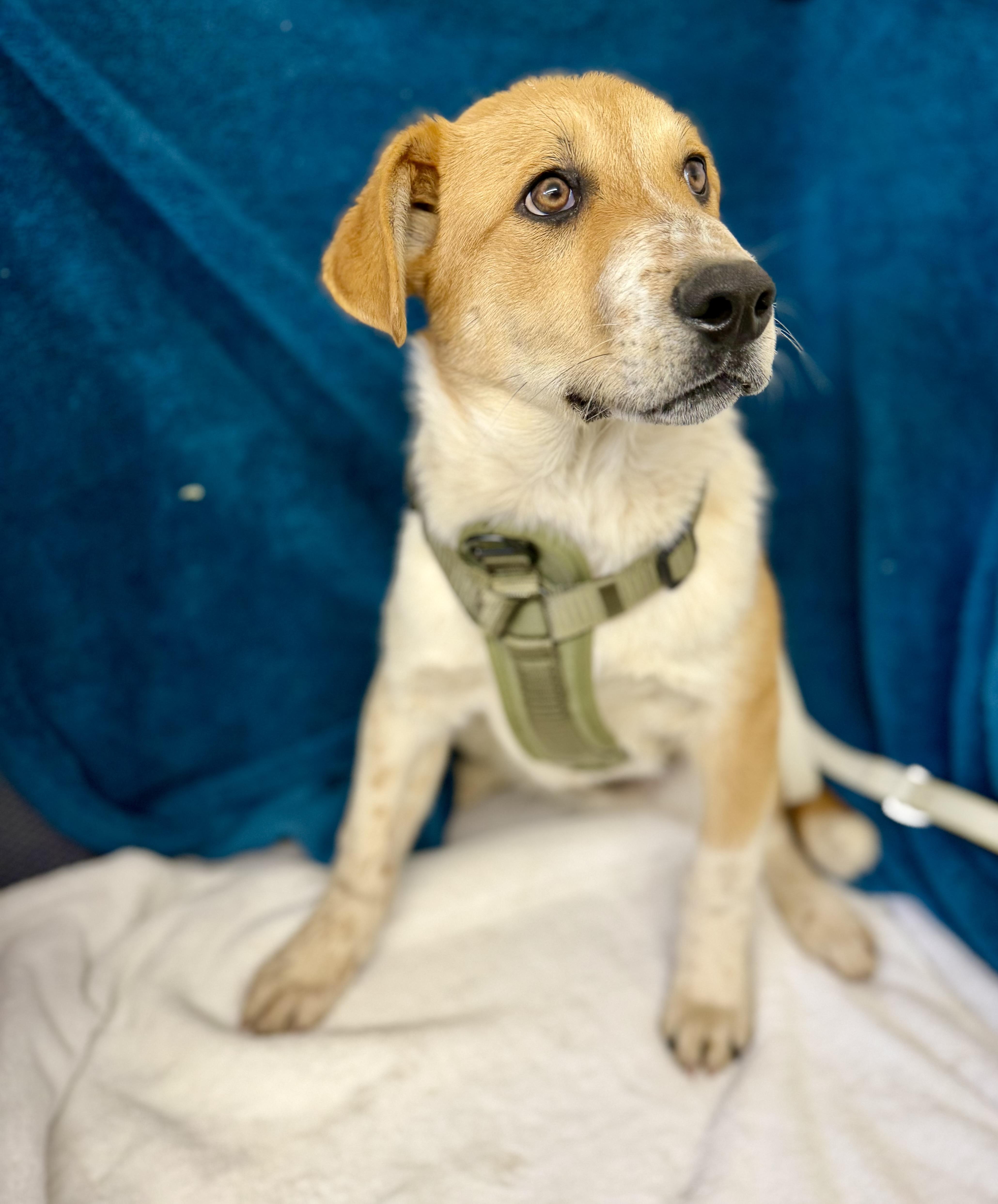 General — thumbnail 3