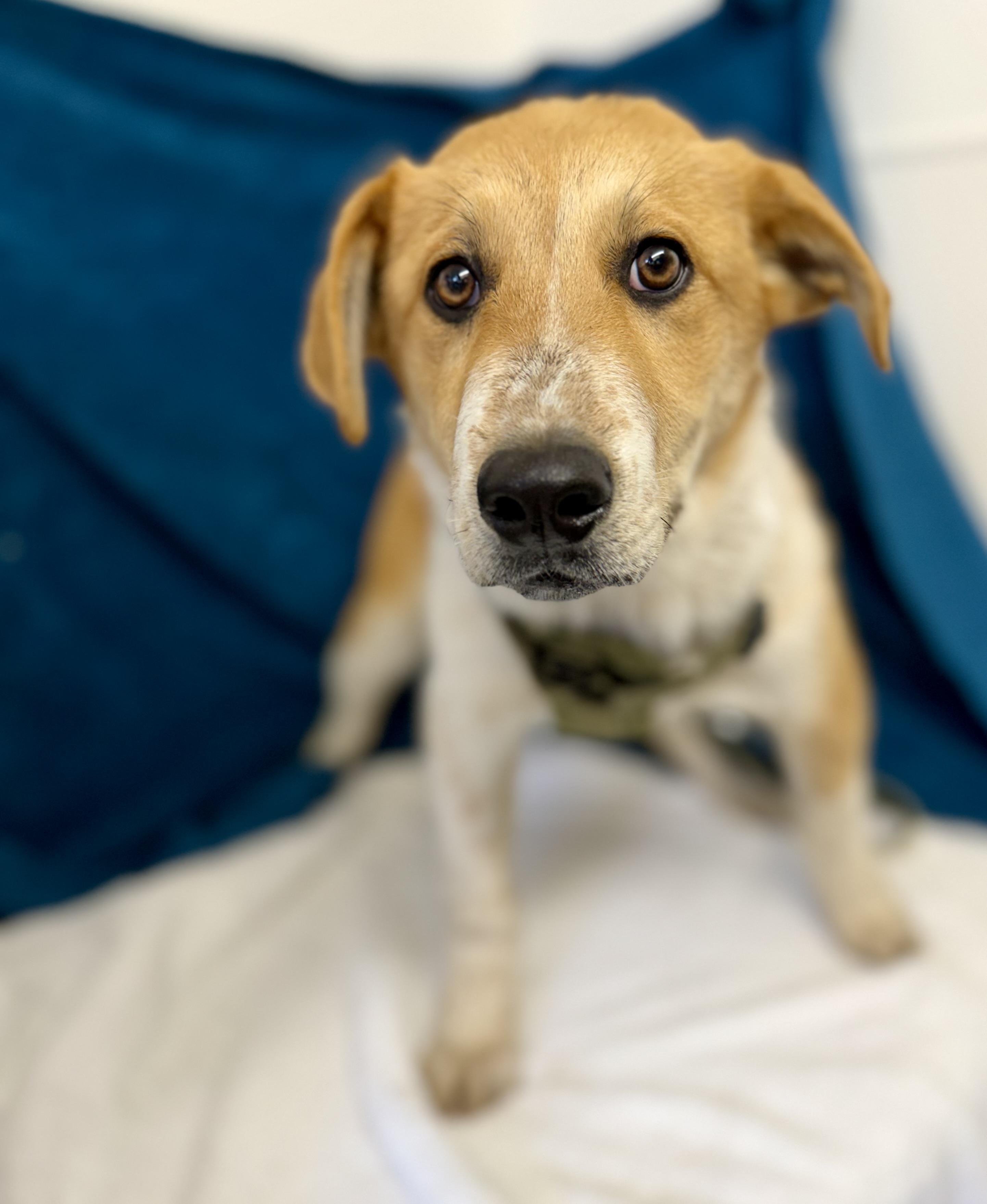 General — thumbnail 4