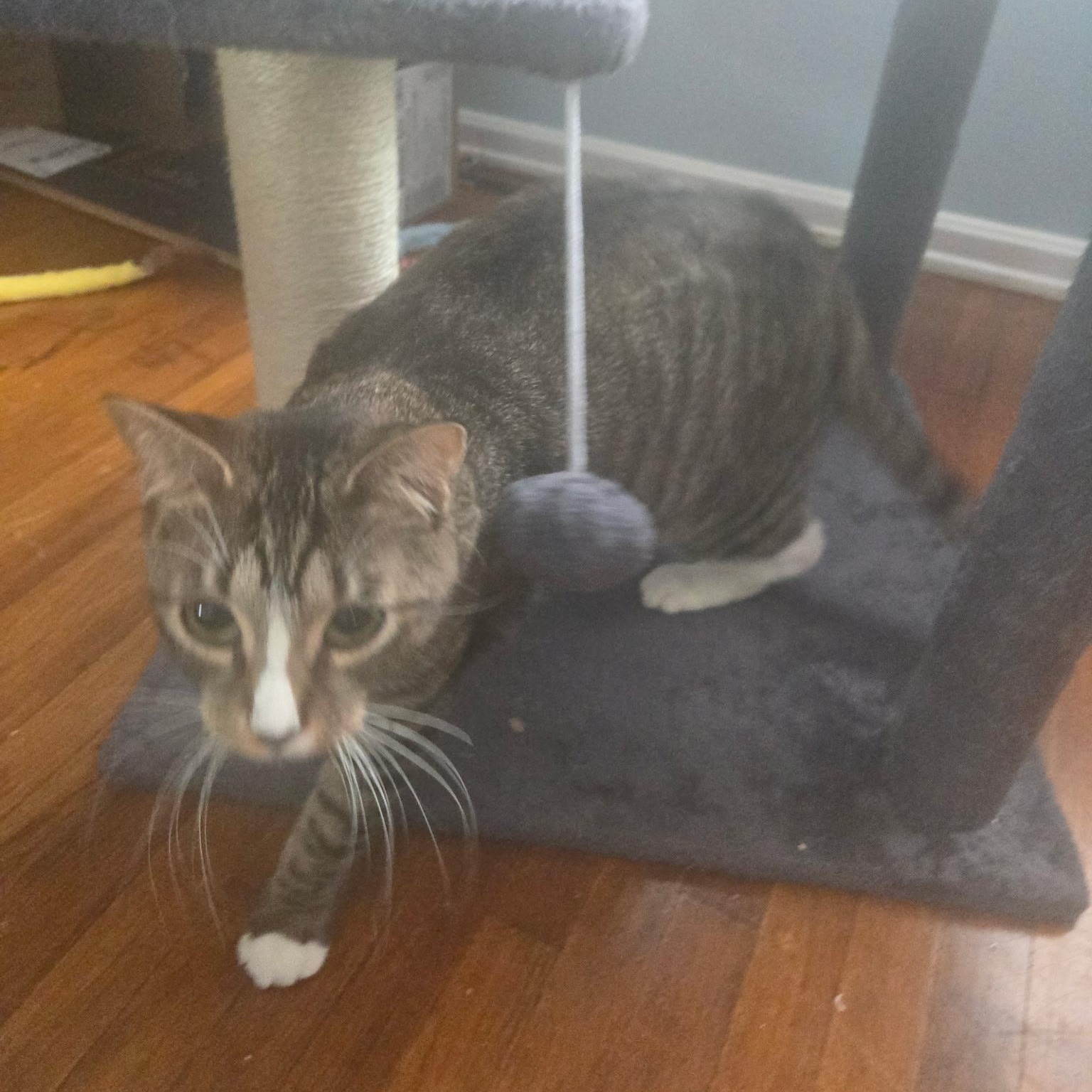 Mama — thumbnail 2