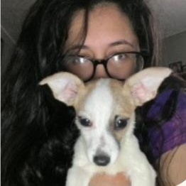 Stella, an adopted mixed breed in Raeford, NC image 2/2