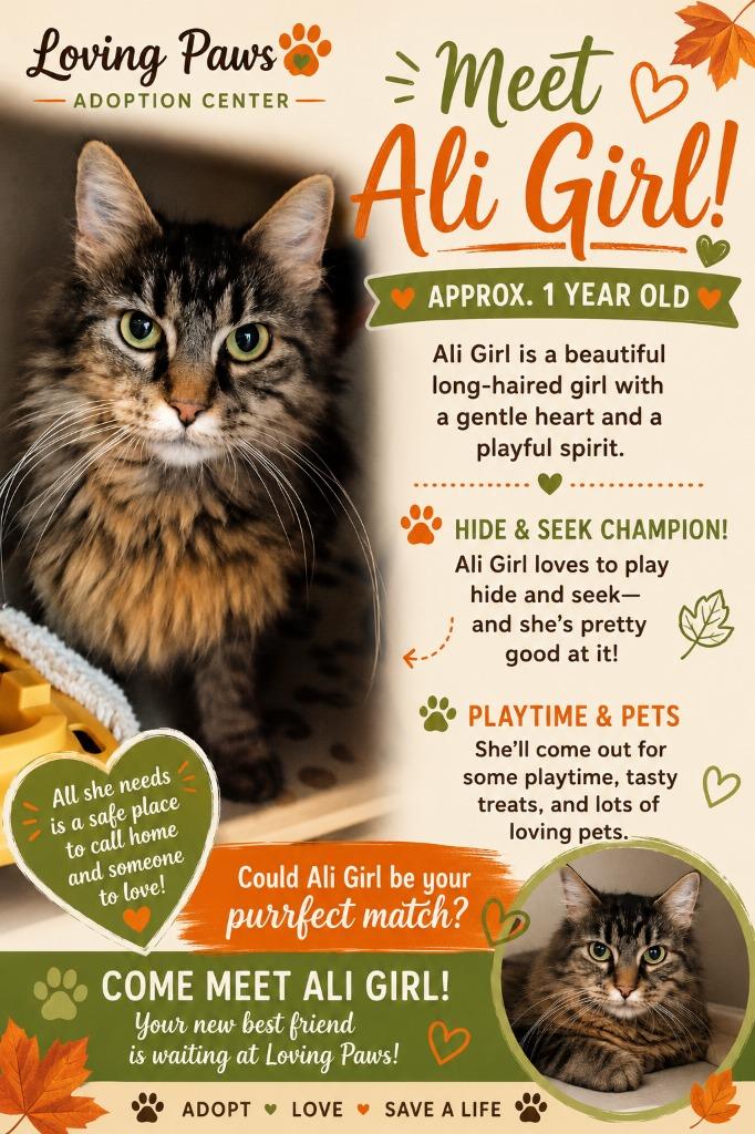 Enlarge Ali Girl, a Adoptable mixed breed in Crocker, MO image 2/2