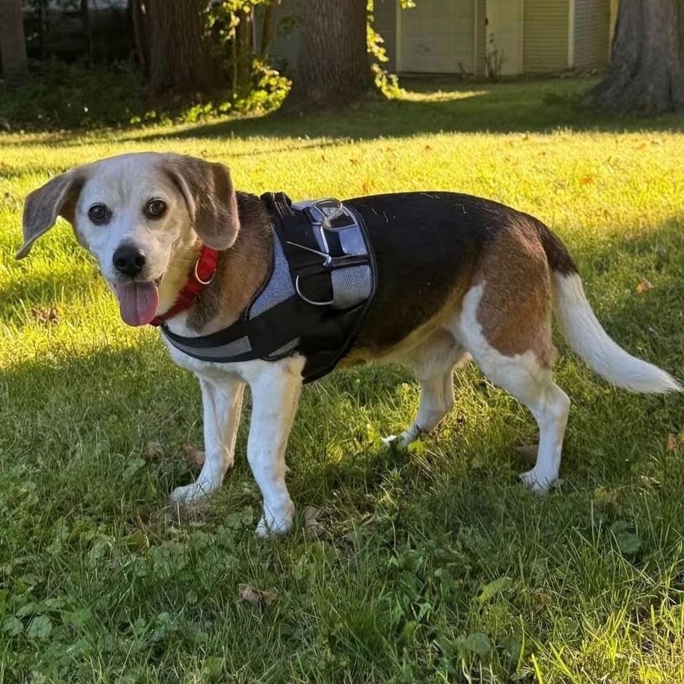 Spanky photo