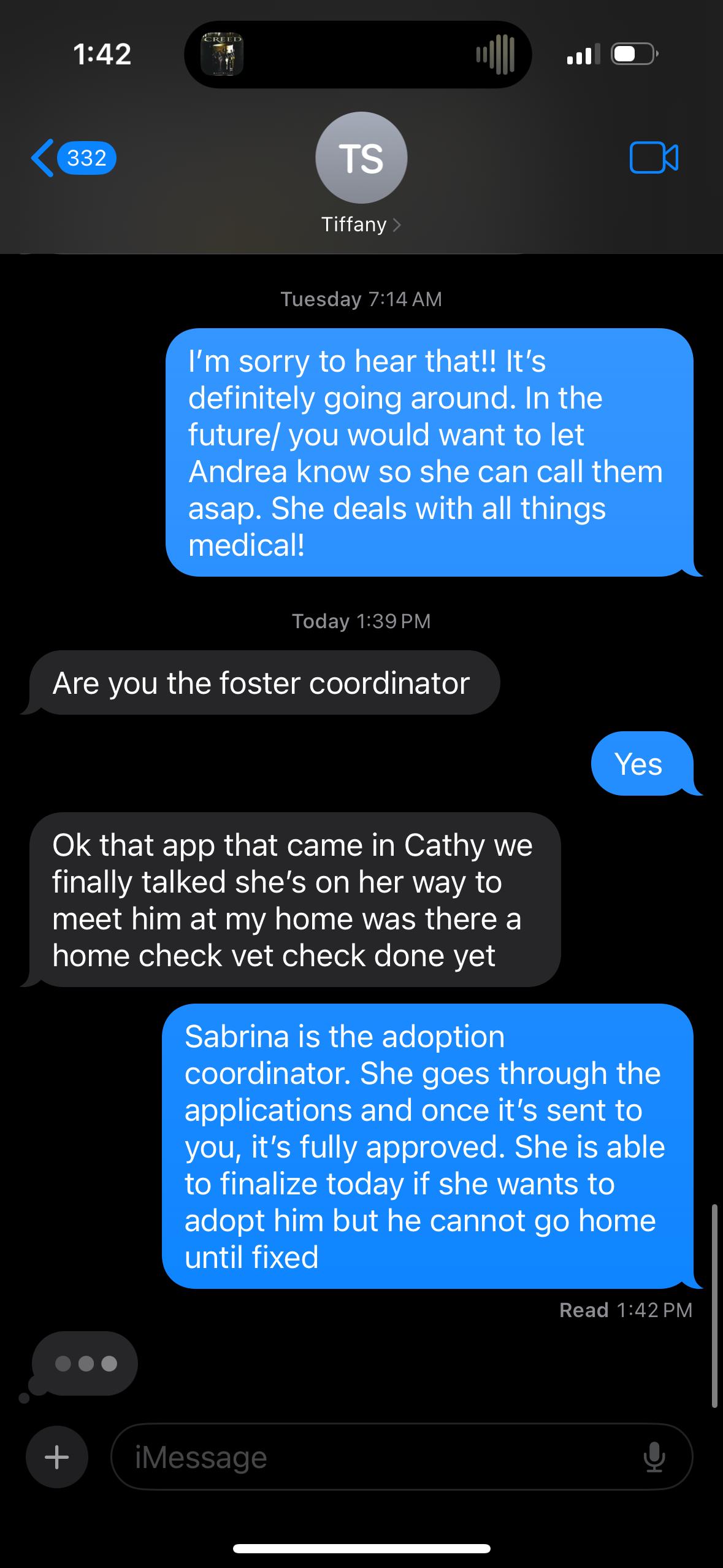 Enlarge Tina , a ADOPTABLE Parakeet (Other) in China Township, MI image 4/5