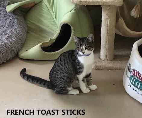 French Toast Sticks