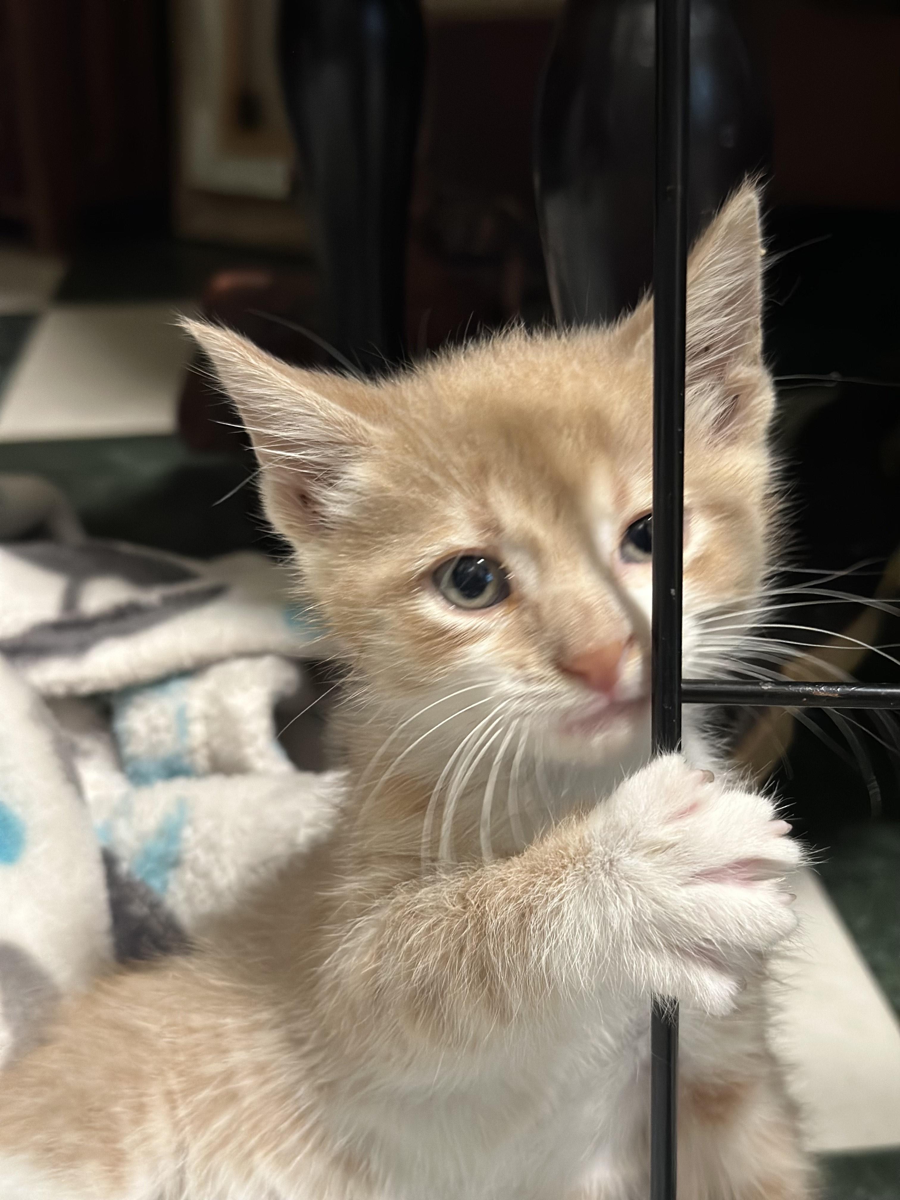 September thumbnail 2