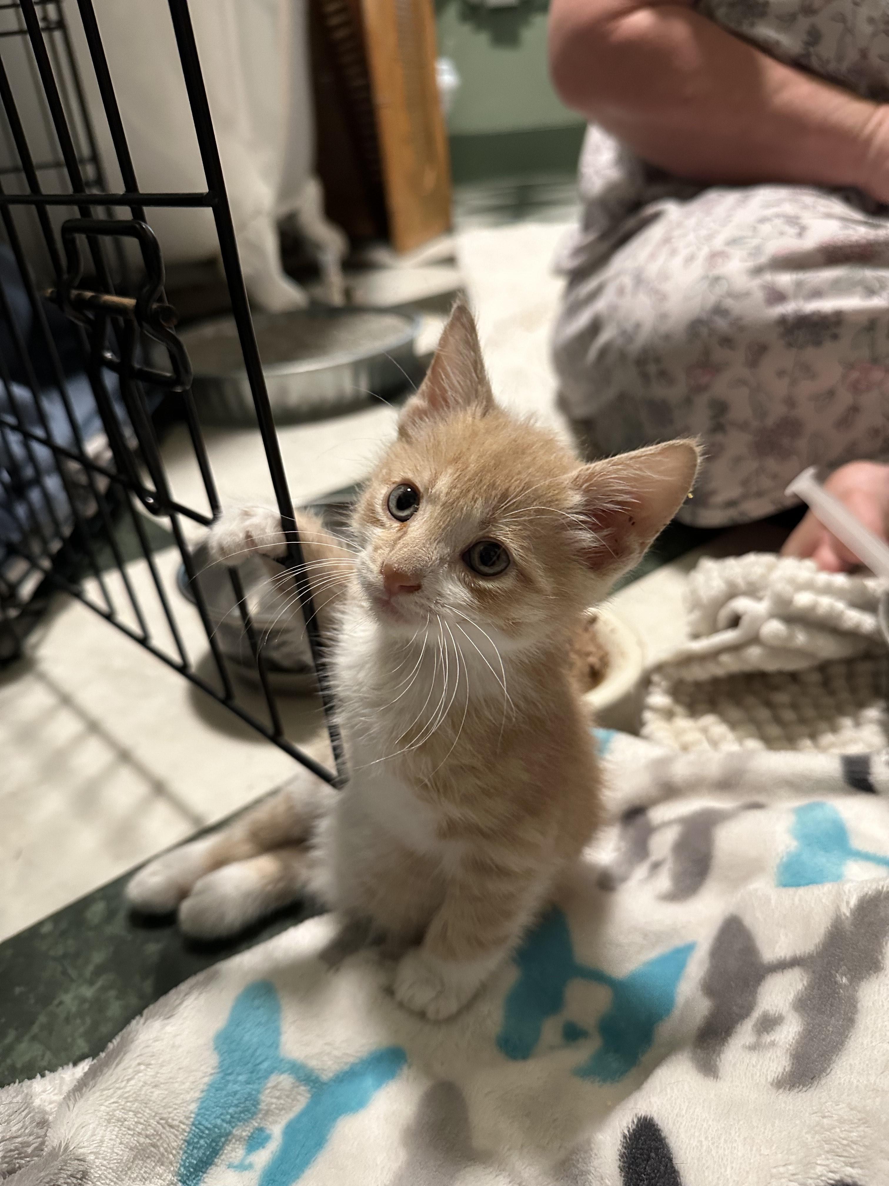 September thumbnail 3