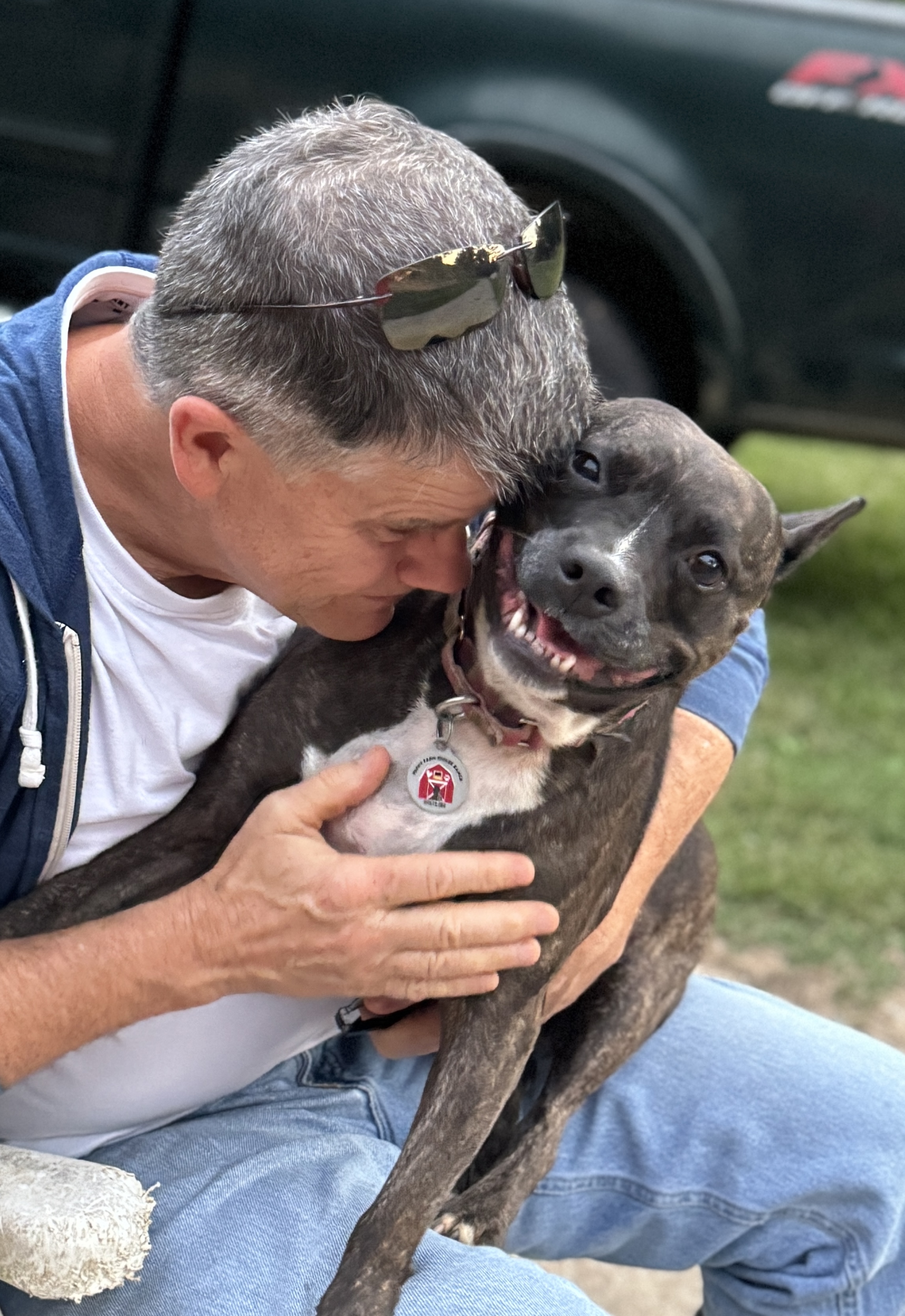 Dog for adoption Monkey, a Boston Terrier & French Bulldog Mix in
