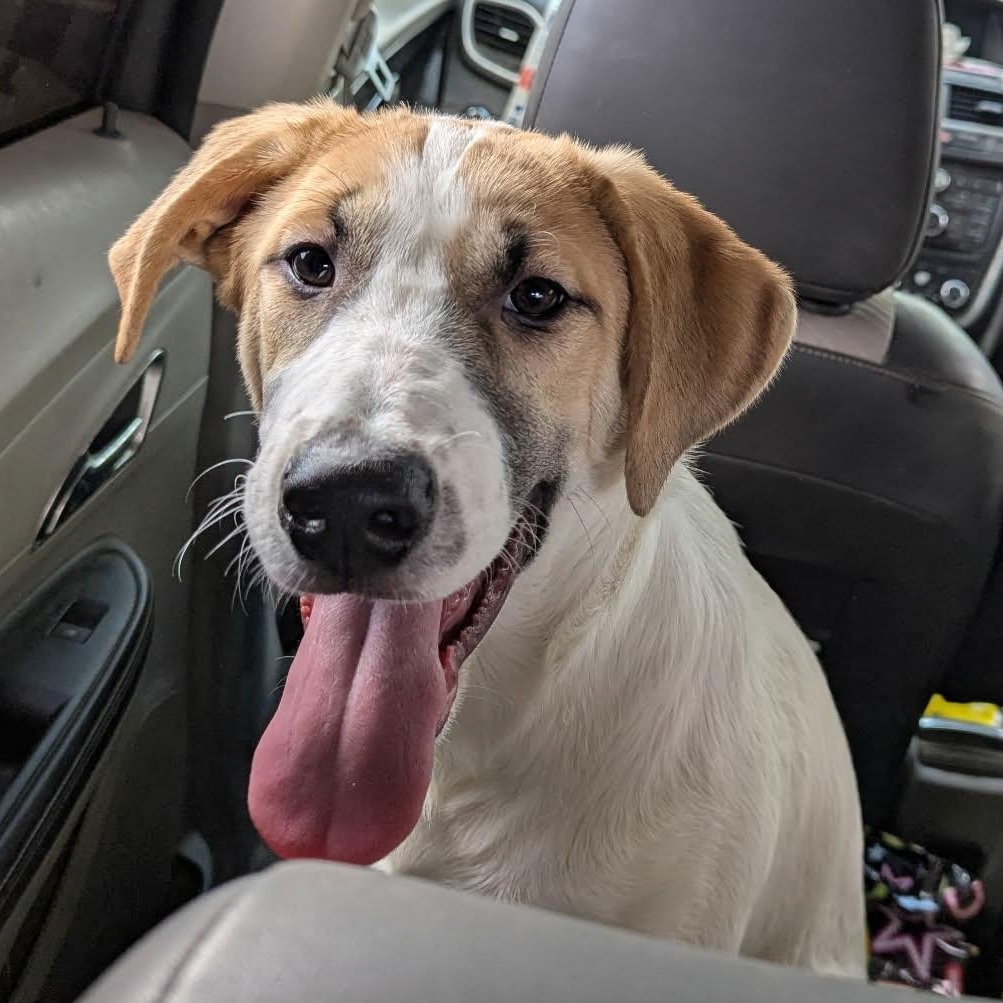 Tater — thumbnail 5