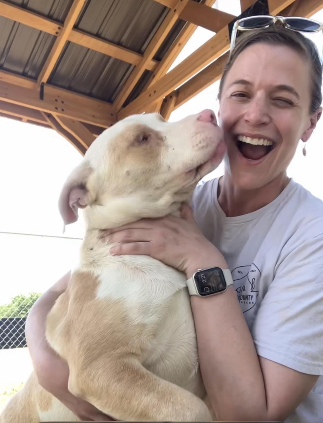 Enlarge Moonie- Happiest, sweetest, most cuddly boy who just happens to be blind., a Adoptable Mixed Breed in Green Bay, WI image 2/4
