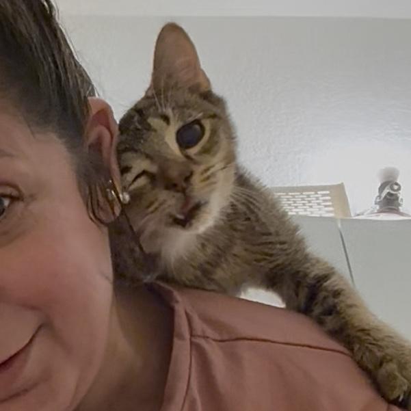 Stallone (SWEETEST EVER) — thumbnail 4