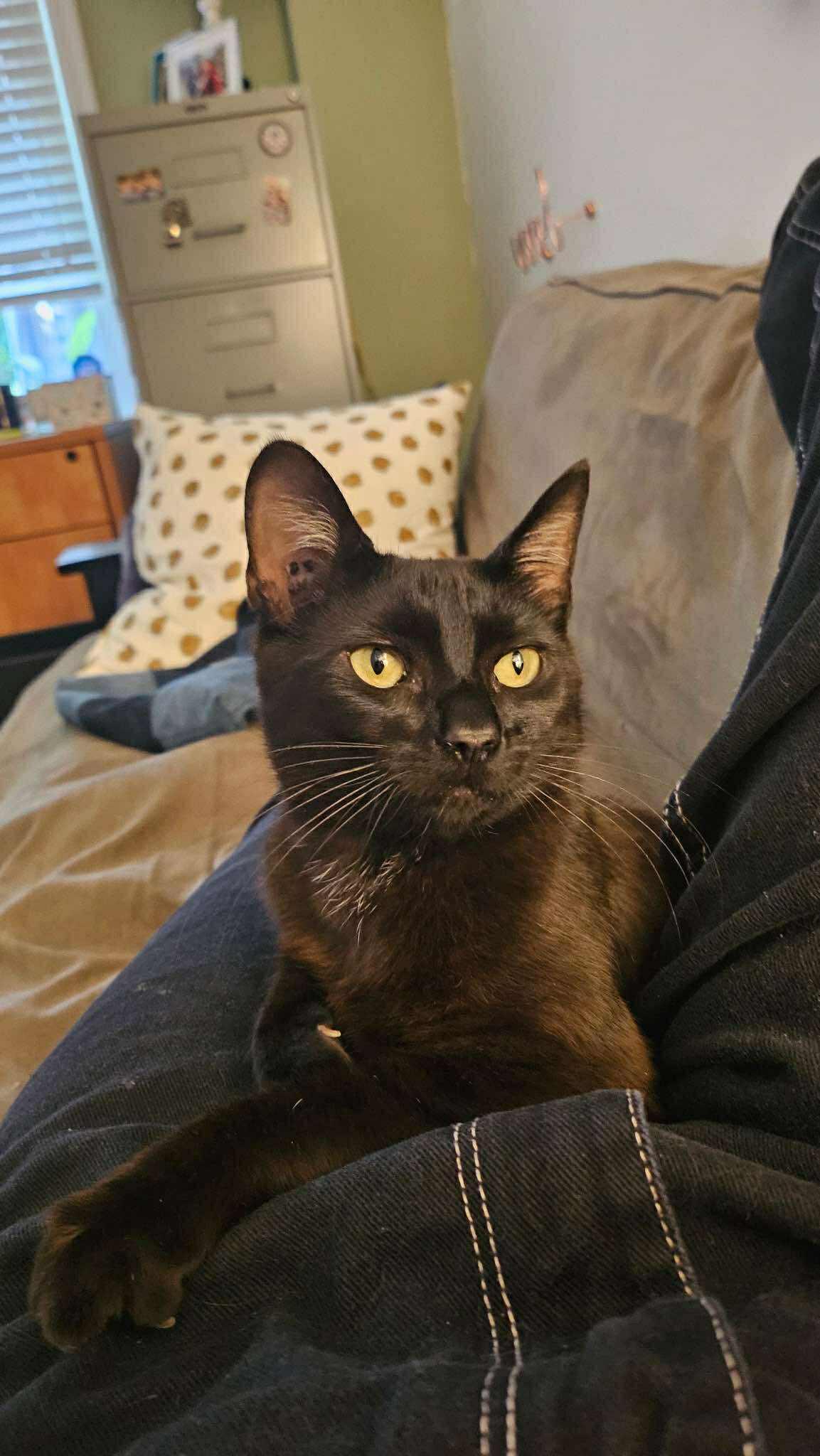 Carlos