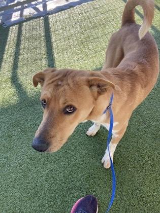 Augustus — thumbnail 2