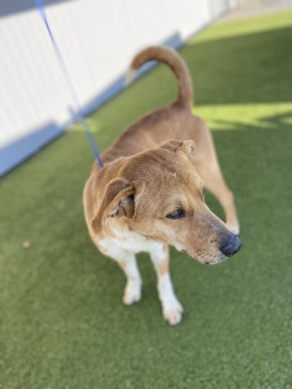 Augustus — thumbnail 3