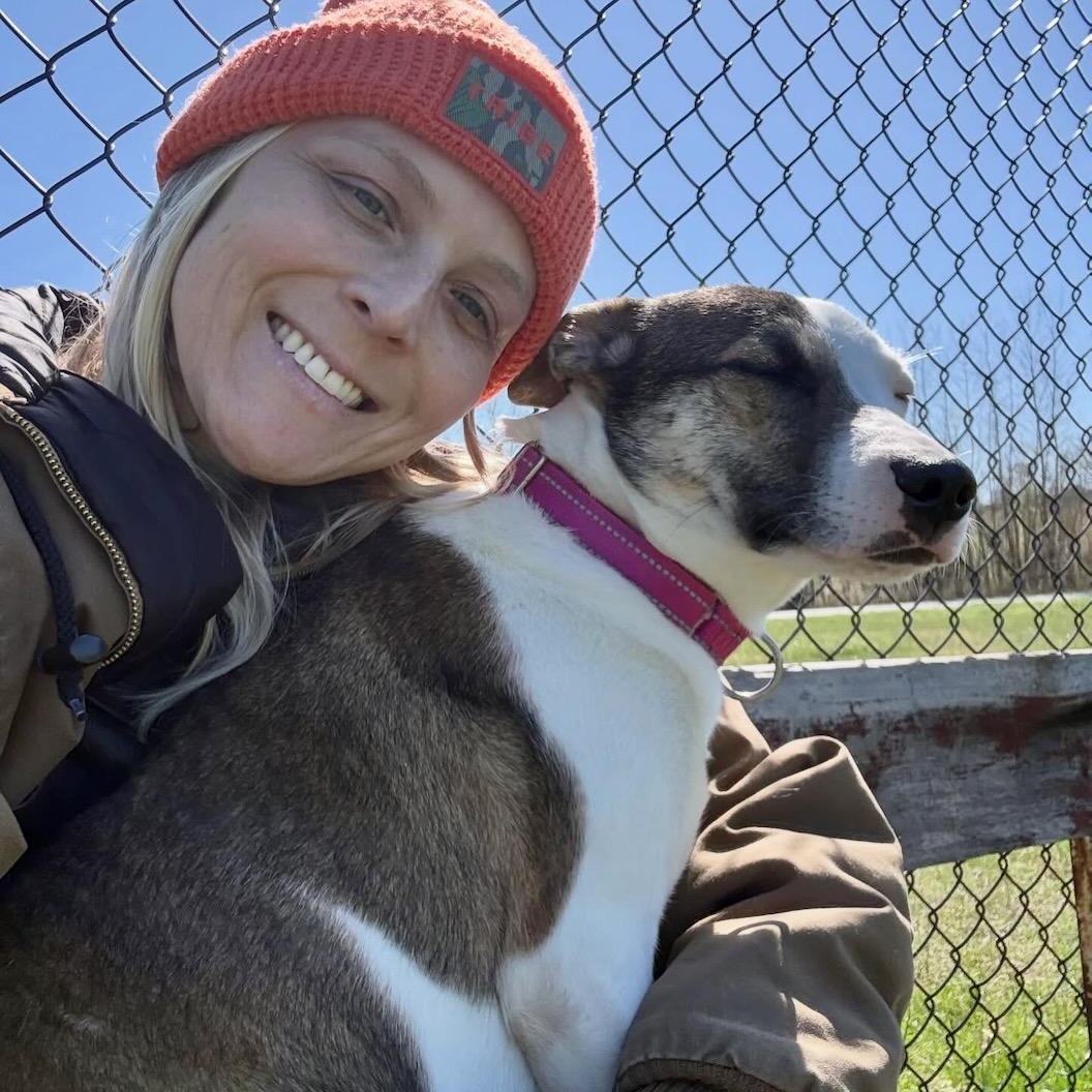 Enlarge Alana, a ADOPTABLE mixed breed in Lebanon, TN image 3/5