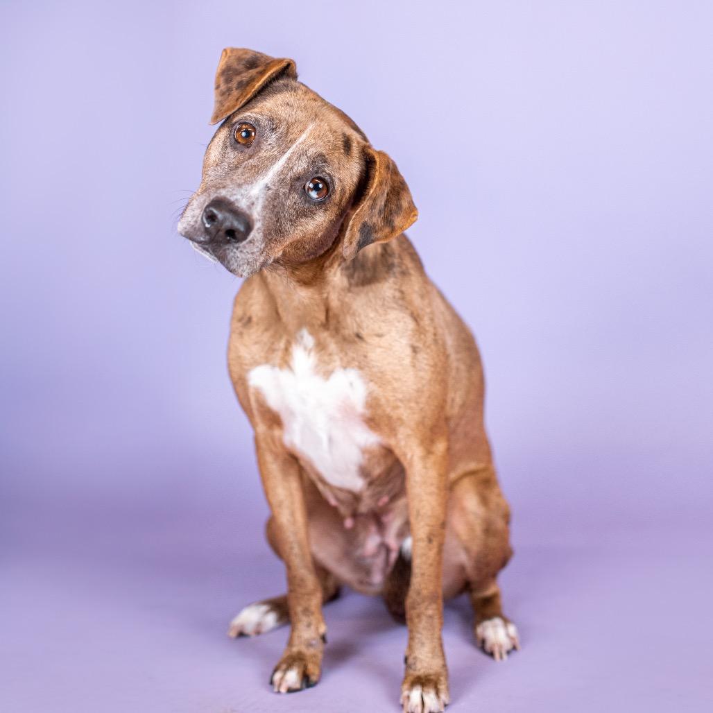 Peaches Hw + thumbnail 2