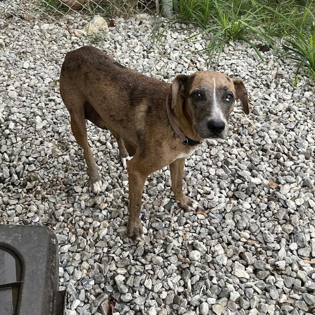 Peaches Hw + thumbnail 3