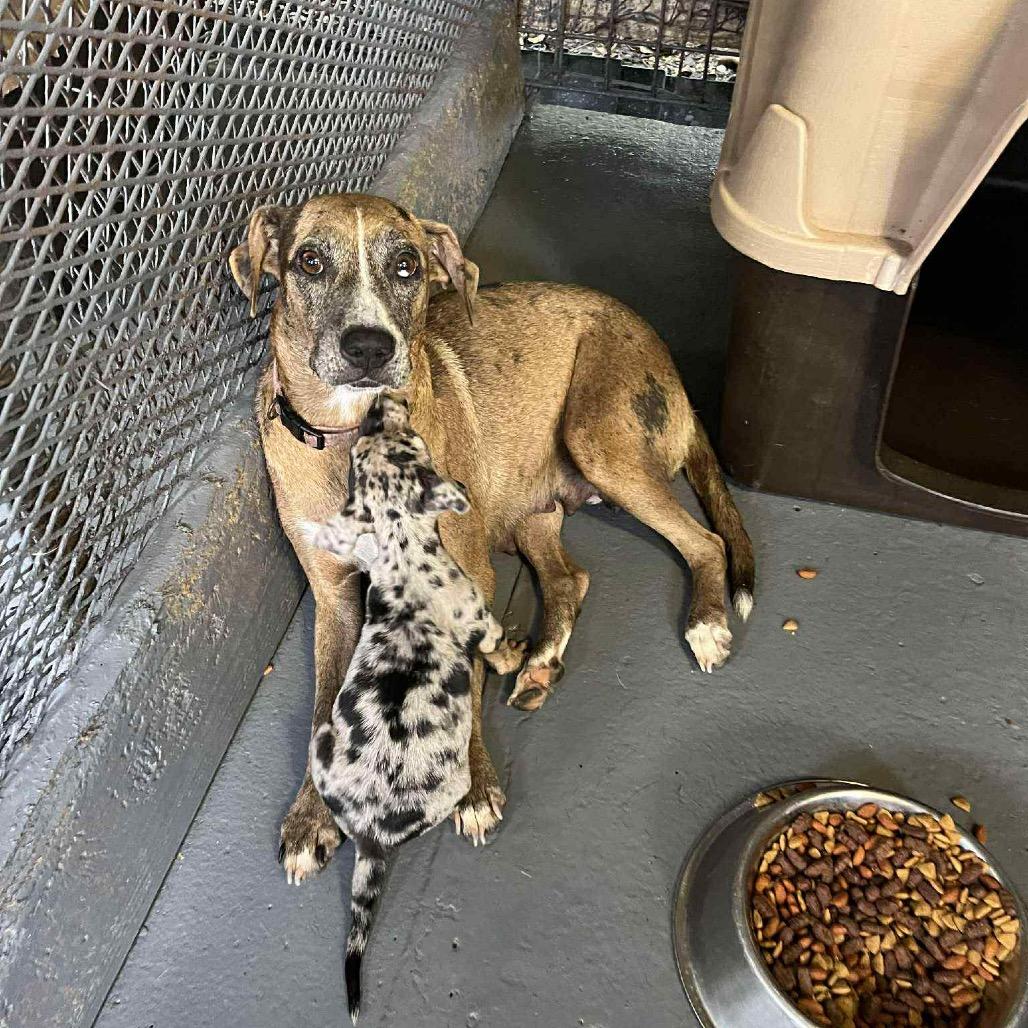 Peaches Hw + thumbnail 4