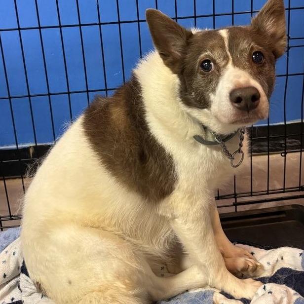 Daisyduke thumbnail 2