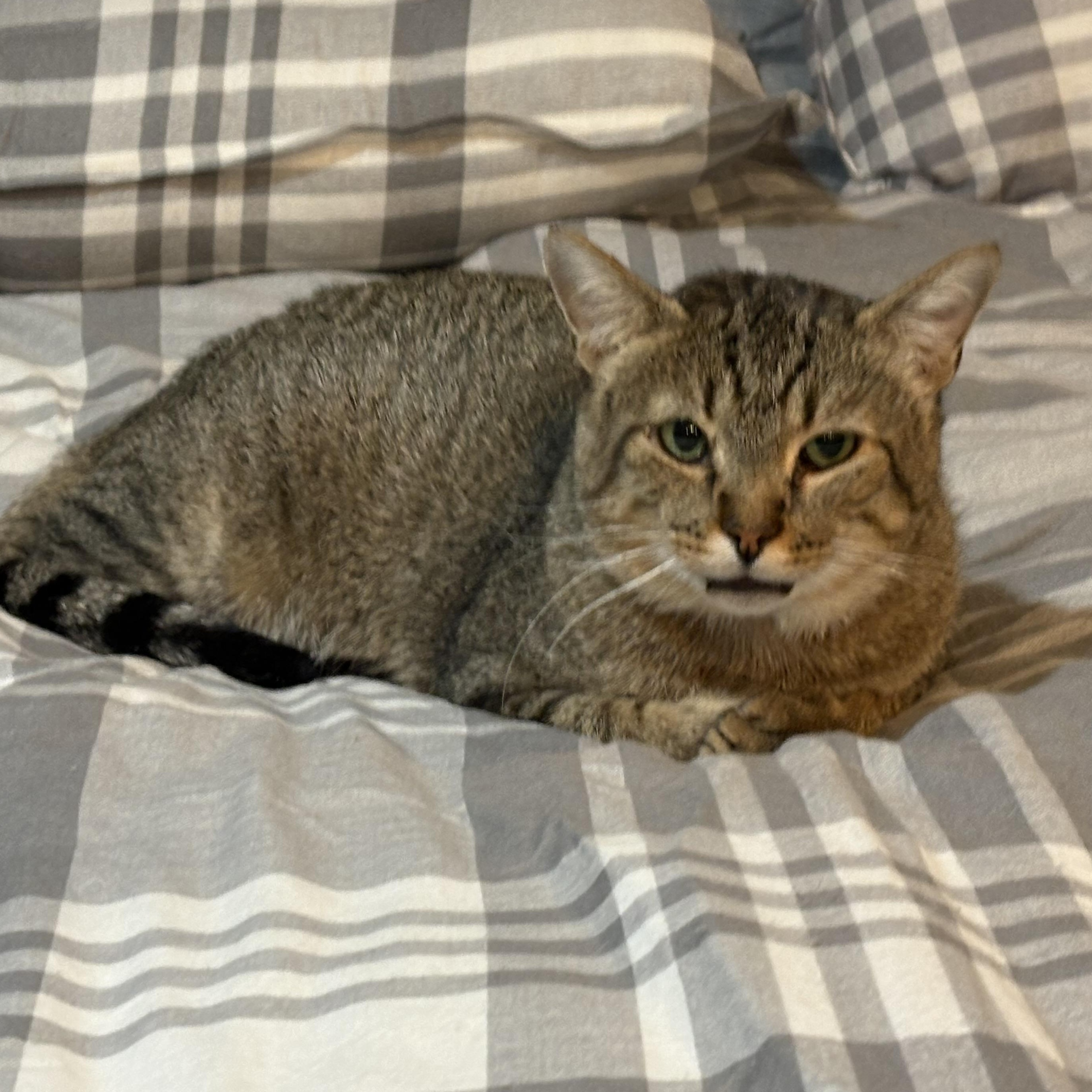 Kathmandu thumbnail 3