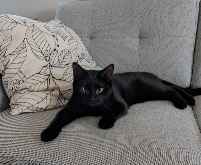 Seymour 1