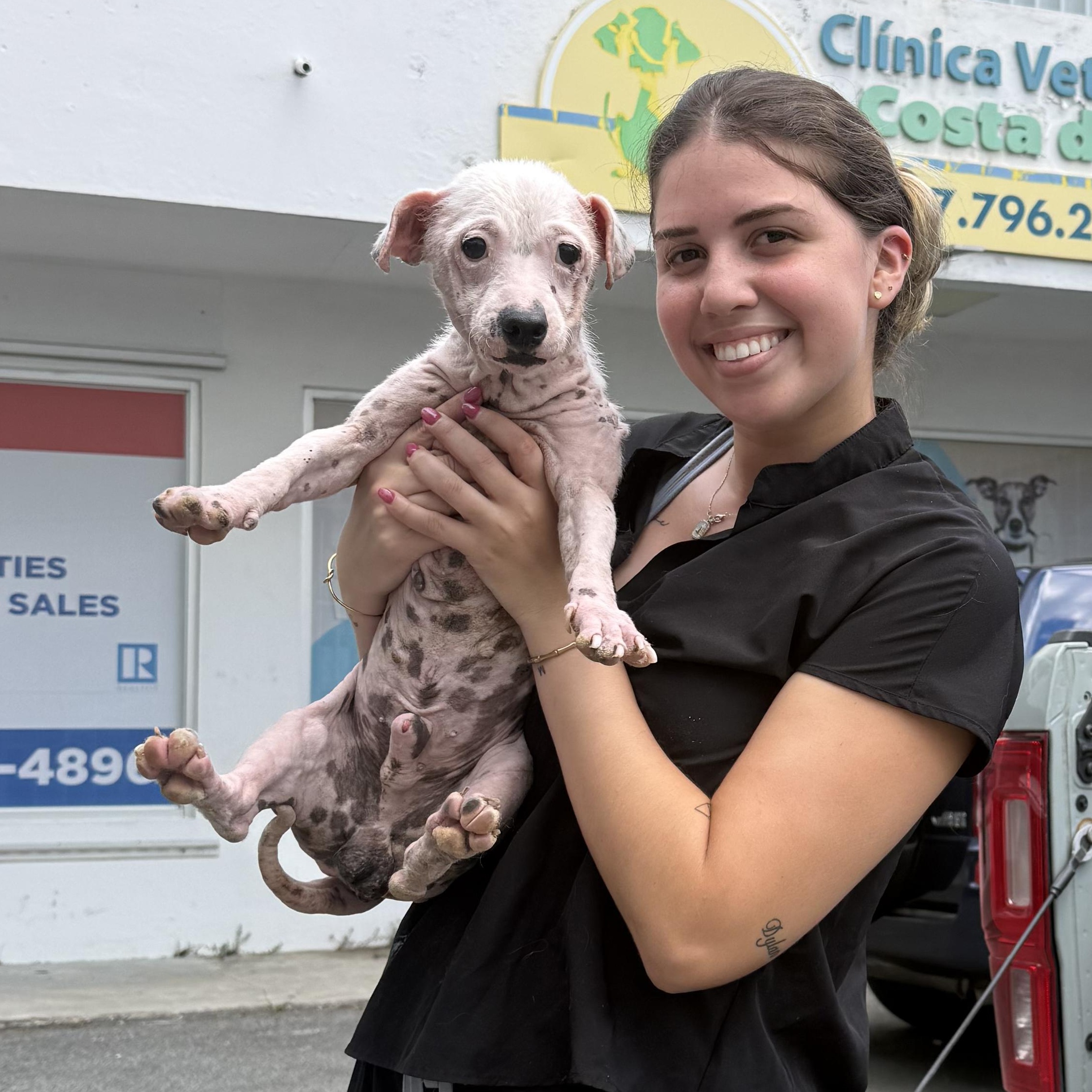 Enlarge Chance - So Full of Hope, a Adoptable mixed breed in Detroit, MI image 6/6