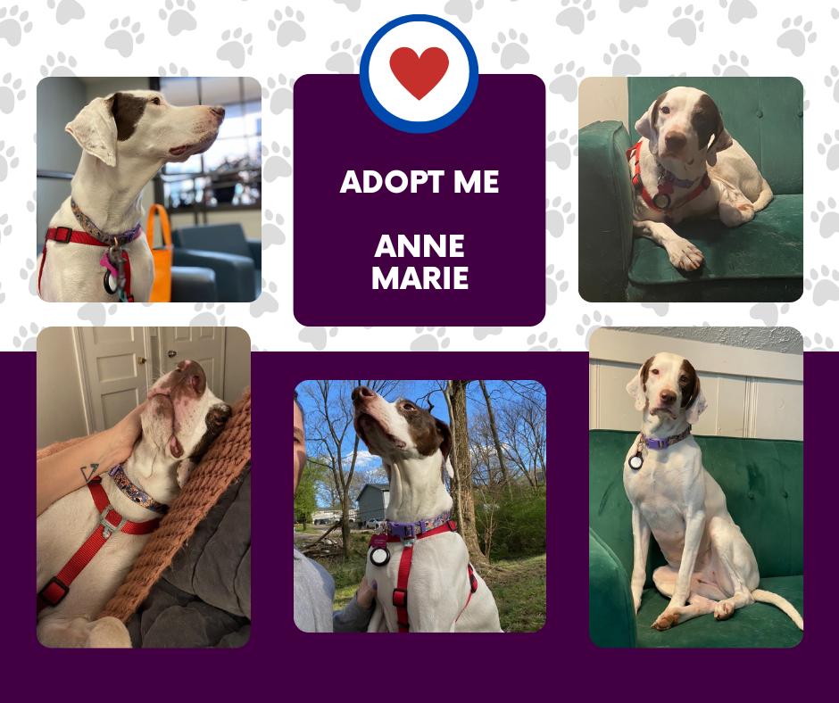 Anne Marie (TN)