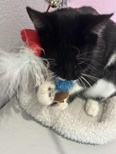 June — thumbnail 2