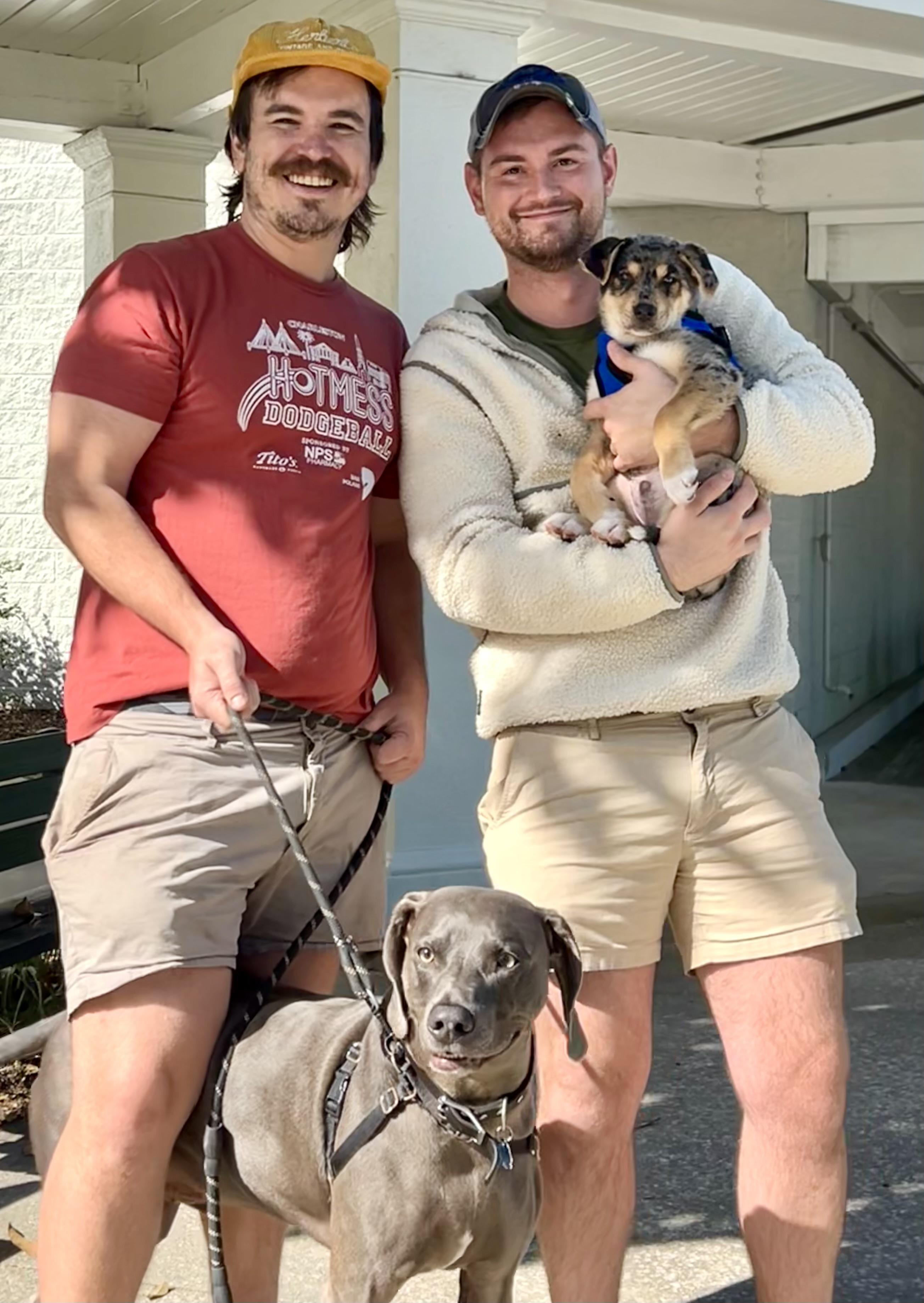 Enlarge Will, an adopted mixed breed in Mt Pleasant, SC image 6/6