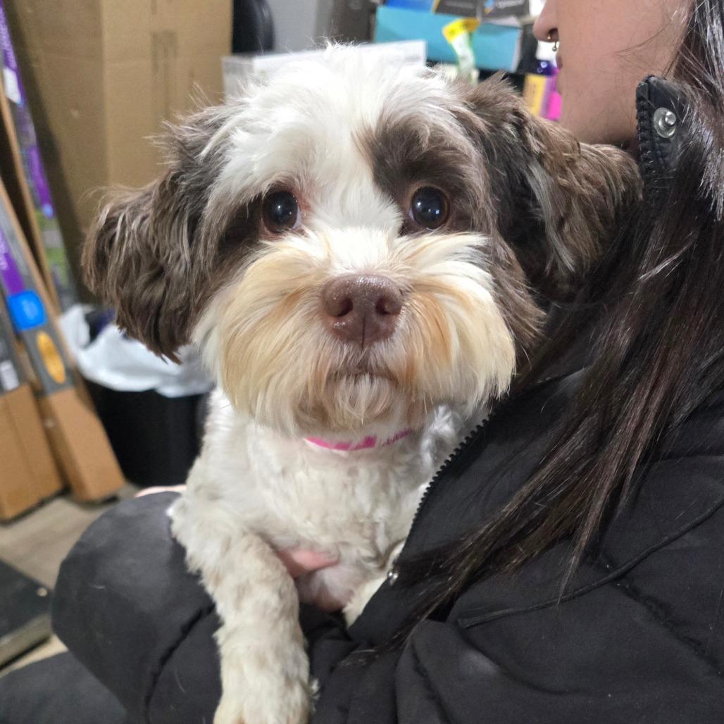 Winter A thumbnail 2