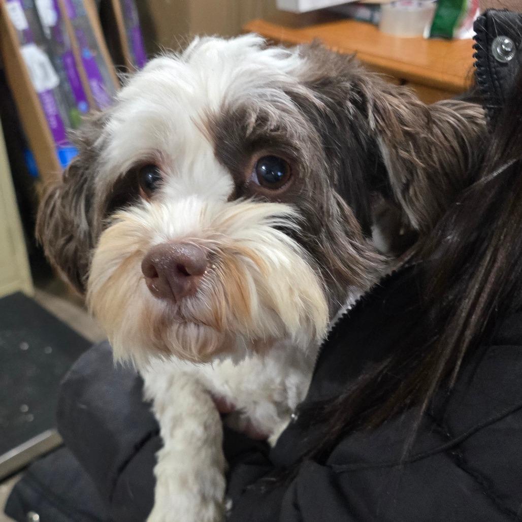 Winter A thumbnail 3